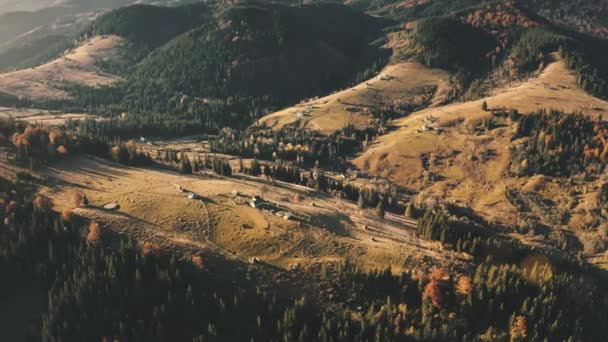 Zelený hnědý ranní les na hřebeni hory, shora dolů. Panorama na vysočině, anténa. Dobrodružství — Stock video