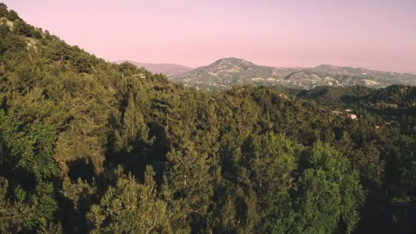 Dağlardaki yeşil çam ağaçlarının üzerinde havadan pembe bir gün doğumu. Ormanın üzerinde güzel bir leylak gökyüzü. — Stok video