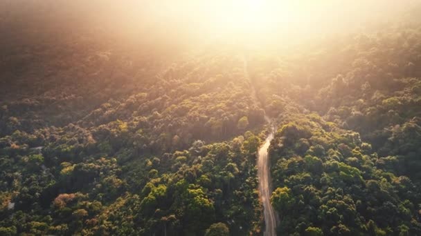 숲 속 도로를 지나는 태양 산에 있는 나무들 하늘을 바라보고 있습니다. 열 대의 섬에 내리쬐는 태양. — 비디오
