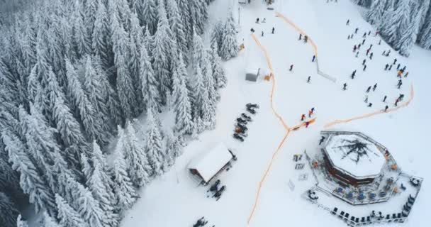 Esquiadores aéreos no inverno na encosta superior de pico nevado. Trilha e teleférico entre as árvores. Natureza fundo. — Vídeo de Stock