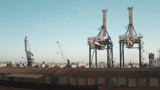 Aerial cranes in seaport. Cargo transportation. Logistic. Loading and transportation goods. Shipyard — Stock Video