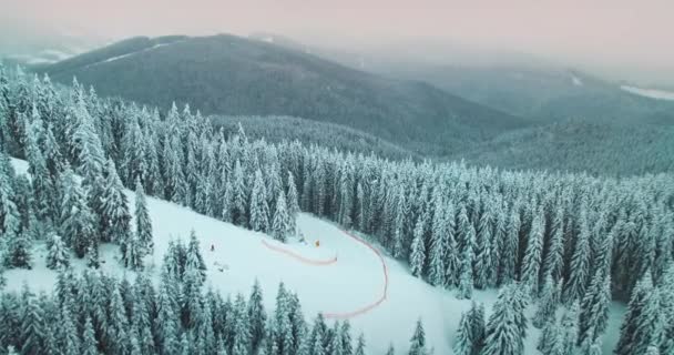 Luftudsigt, vintersnedækket skov i bjergene. Nedkørselsspor. Smukke vilde landskab. – Stock-video