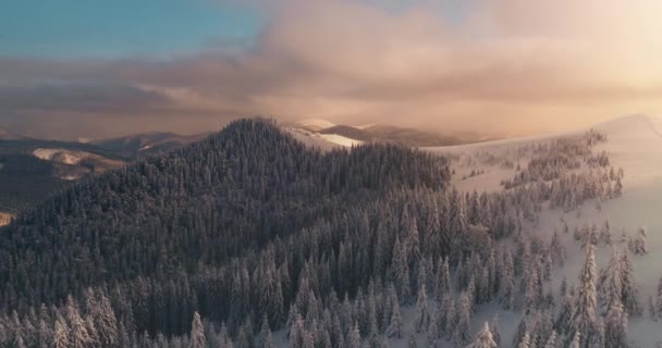 ブコヴェルでのアクティブな冬の休日に日当たりの良い雪のカルパチア山脈の空中ビュー — ストック動画