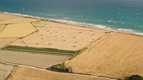 Drone antenn syn på gula fält och havet kiteboarding vindsurfing verksamhet på Cypern — Stockvideo