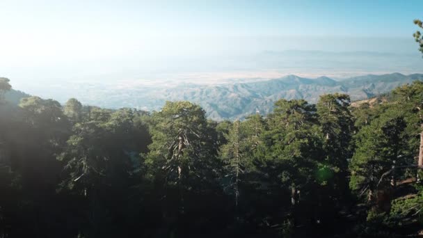 Vzdušný východ slunce nad zelenými lesy v horské krajině na Kypru — Stock video