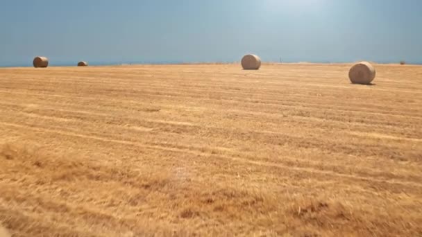 Sonnenaufgang auf gelbem Heuballen-Feld Getreideernte auf dem Land im ländlichen Zypern — Stockvideo
