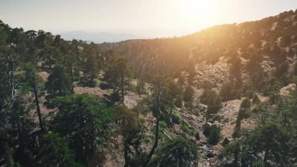 키프로스의 푸른 고지대에 있는 숲 속의 산봉우리 위로 석양을 공중에서 바라본 모습 — 비디오