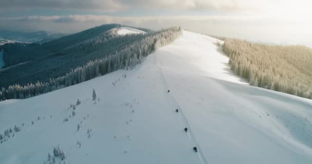Zonlicht over besneeuwd berggroen bos wintervakantie in Bukovel, Oekraïne — Stockvideo