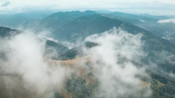 乌克兰拉希夫高山高地绿雾密林野外风景 — 图库视频影像