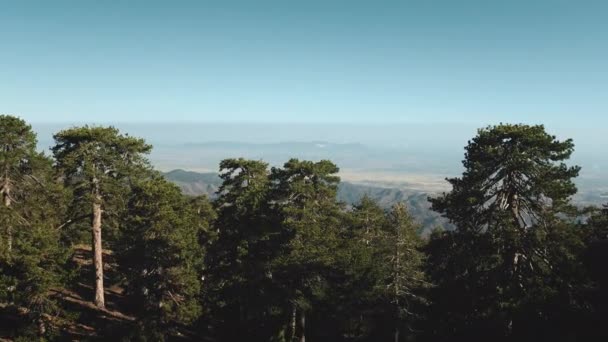 Vue aérienne du pic dense d'arbres forestiers verts dans la nature sauvage des hautes terres à Chypre — Video