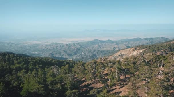Повітряний вид мальовничого зеленого лісу гірський ландшафт у сільській місцевості Кіпру. — стокове відео