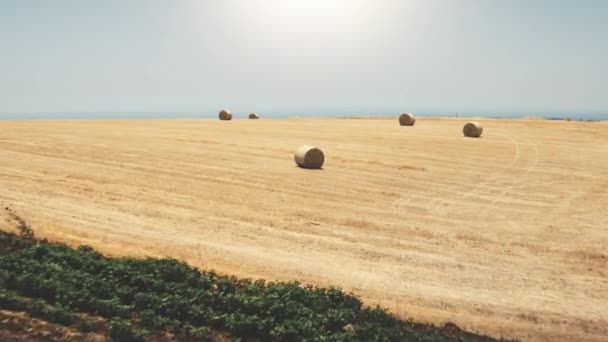 Grün, Heuhaufen auf gelbem Feld. Sonnenlicht. Haus auf Wiesen. Landwirtschaft. Gemähter Weizen. Anreise — Stockvideo