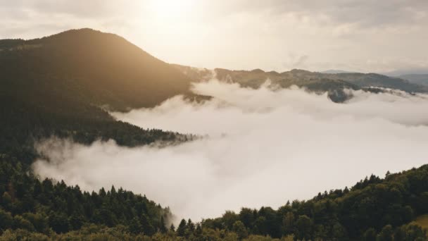 Nevoeiro neblina sobre montanhas verdes do planalto no campo natureza selvagem paisagem área — Vídeo de Stock