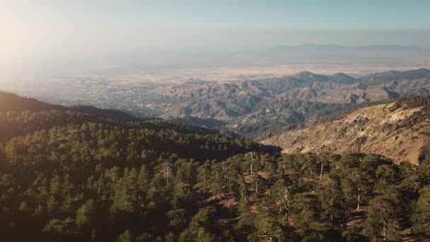 Green tree forest park in highland mountain rural wild nature landscape area — Stock Video