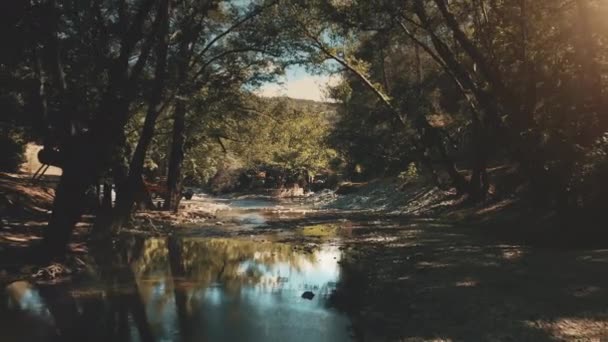 Escursione turistica nel parco antico con antico ponte di epoca medievale — Video Stock