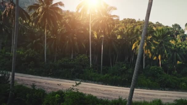 Sunset sunrise sobre verde palmeira floresta natureza paisagem na ilha de Koh Phangan — Vídeo de Stock