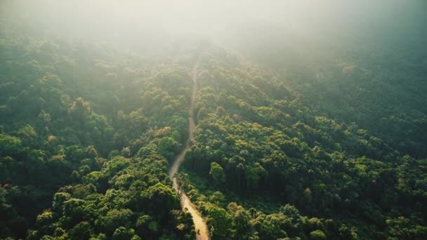 Luz solar sobre palmeiras verdes na selva estrada tropical na ilha Koh Phangan, na Tailândia — Vídeo de Stock