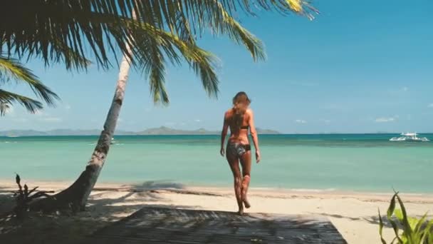 Žena na tropické pláži Maledivy. kokosový ořech, relaxace, modrá, cestovní ruch — Stock video