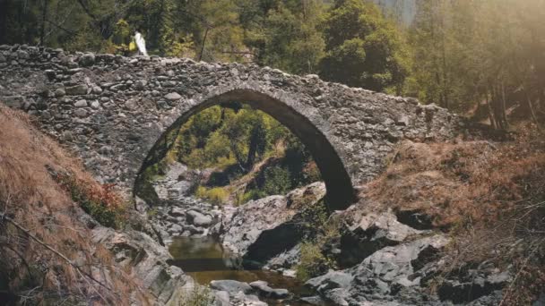 女性旅行者イギリスの歴史公園で古代の歴史的な中世の橋を歩く — ストック動画