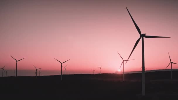 Moinhos de vento rosa do por do sol produzem a fonte alternativa verde de energia elétrica — Vídeo de Stock