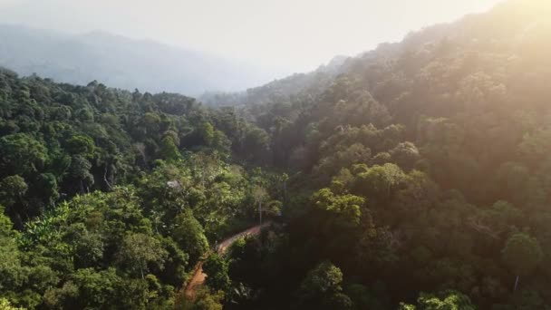 Повітряне зелене дерево джунглі лісовий дикий природний ландшафт. Захід сонця світло над доріжкою джунглів — стокове відео