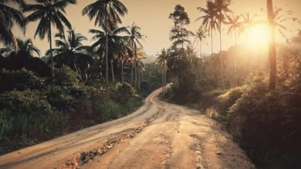 Puesta de sol naranja brillante sobre la selva camino vacío. Bosque de palmeras de coco. Naturaleza salvaje paisaje — Vídeos de Stock