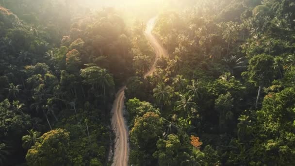 日没のジャングルの森の中でスローモーションカービー道路。農村部のパス上の空中トップドローン飛行 — ストック動画