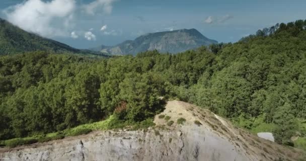 Bosque de árboles verdes bosque en la cordillera montañosa área natural salvaje en Francia — Vídeo de stock