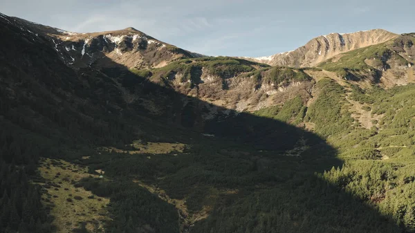 Sun mountain ridges with pine forest aerial. Nobody nature landscape. Green conifer trees on hills — Stock Photo, Image