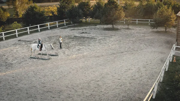 Nahaufnahme Reiterzug Antenne von oben nach unten. Mädchen sitzen auf Pferden. Trainer-Spaziergang auf der Rennbahn. Beaglehunde — Stockfoto