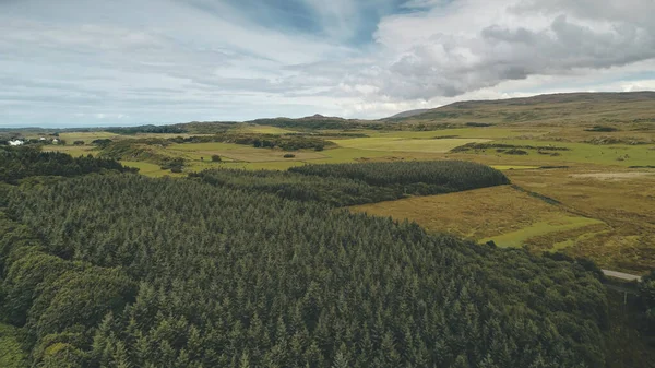 Pinhal no vale verde aéreo. Ninguém paisagem da natureza. Terras agrícolas rurais na estrada. Árvores verdes — Fotografia de Stock