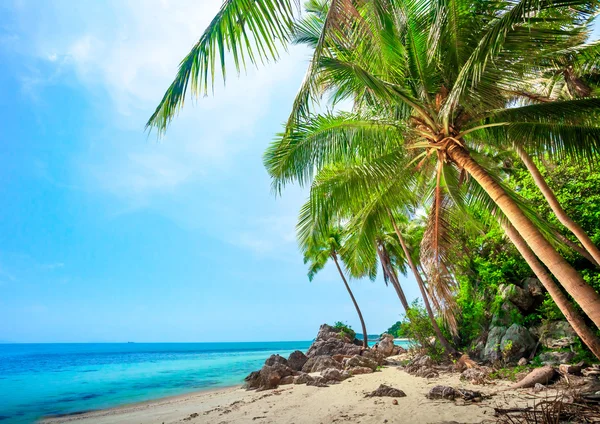 Praia tropical com coqueiros — Fotografia de Stock