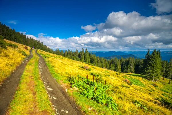 Karpatisch zomer landschap. — Stockfoto