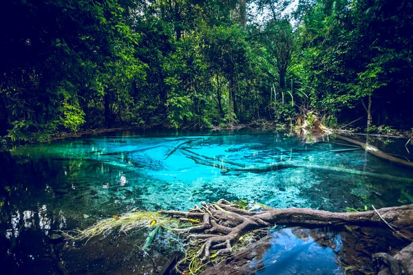 Emerald blauwe Pool — Stockfoto