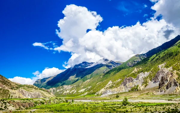 Schöne asiatische Landschaft — Stockfoto