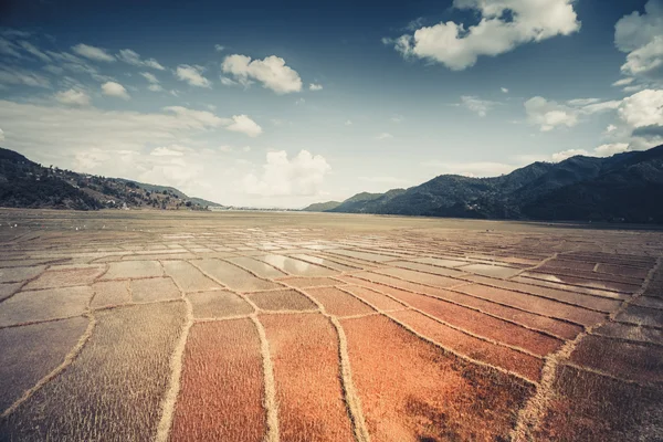 Campo di riso himalayano, Nepal — Foto Stock