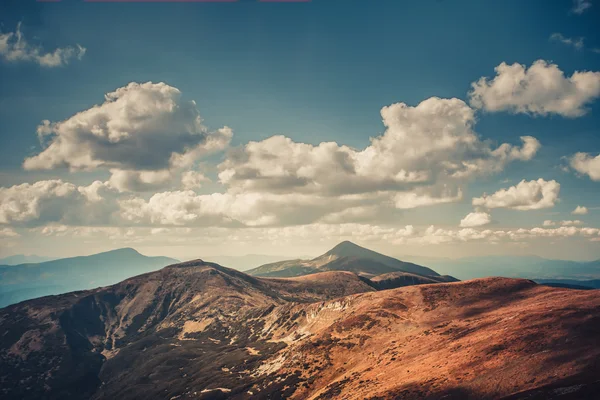 Summer landscape. — Stock Photo, Image