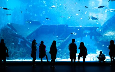 Large Aquarium in Singapore clipart