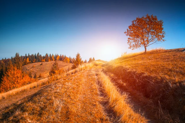 Fantastisch zonnige heuvels — Stockfoto