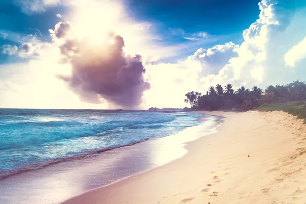 Beautiful beach — Stock Photo, Image