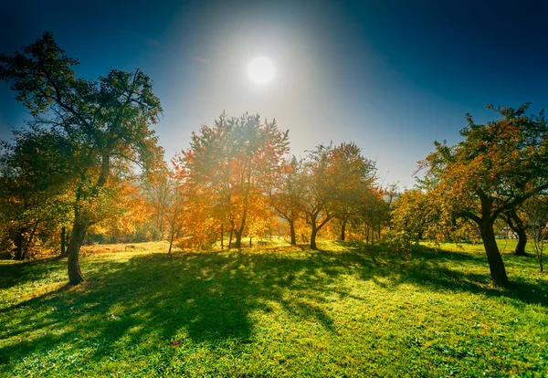 Kleurrijke herfst landschap — Stockfoto