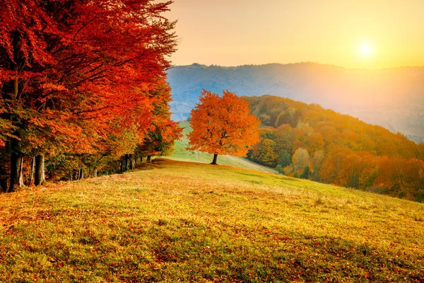 Paisagem de outono colorido — Fotografia de Stock