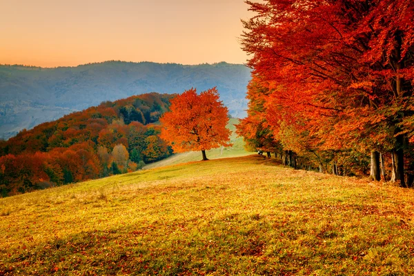 Bunte Herbstlandschaft — Stockfoto