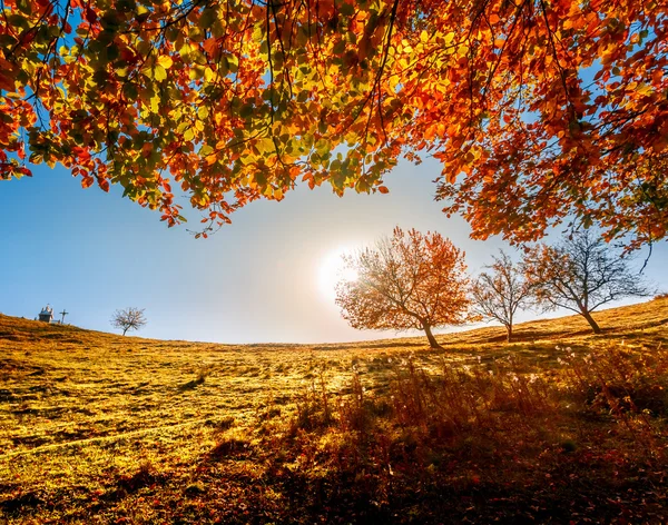 Paisagem de outono colorido — Fotografia de Stock