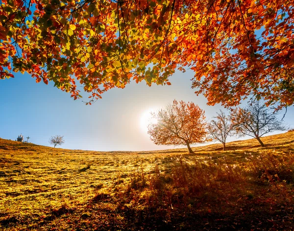 Kleurrijke herfst landschap — Stockfoto