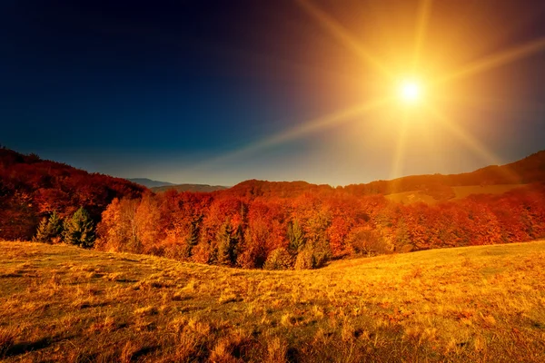 Барвистий осінній пейзаж — стокове фото