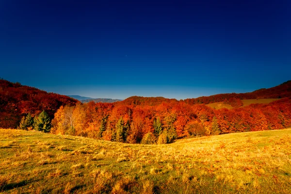 Красочный осенний пейзаж — стоковое фото