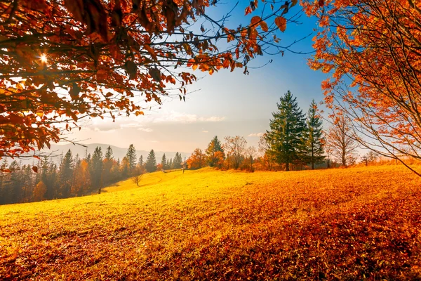 Paesaggio autunnale colorato — Foto Stock