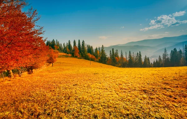 Барвистий осінній пейзаж — стокове фото