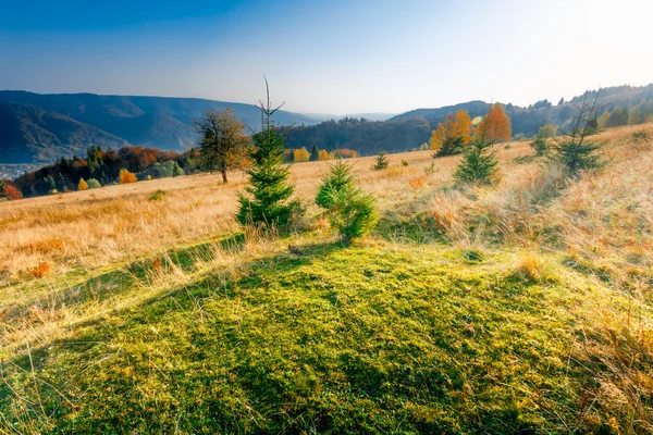 Colorful autumn landscape — Stock Photo, Image